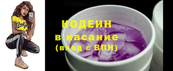 прущие грибы Верхний Тагил